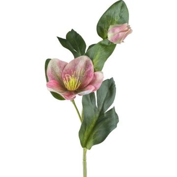 Fiore artificiale rosa di Natale DENDY, rosa-verde, 35 cm