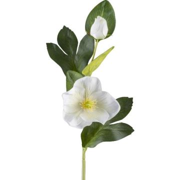 Fiore artificiale rosa di Natale DENDY, bianco, 35cm