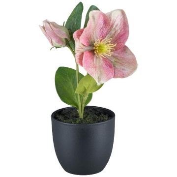 Fiore artificiale di rosa di Natale DENDY, vaso decorativo, rosa, 19 cm