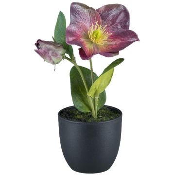 Fiore artificiale di rosa di Natale DENDY, vaso decorativo, viola, 19 cm