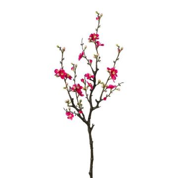 Ramo artificiale fiori di cotogno VORLIN con fiori, cerise, 75 cm