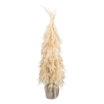Erba decorativa Pampasgrass albero di Natale MOLFI in sacchetto di juta, pannocchie, crema, 80cm
