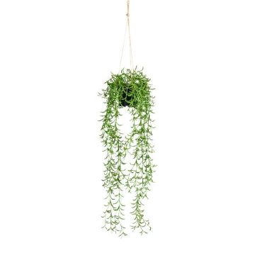 Rhipsalis artificiale CANDO, verde, 70 cm