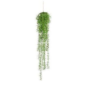 Succulenta artificiale Rhipsalis LANDORY, pendente, verde, 110 cm
