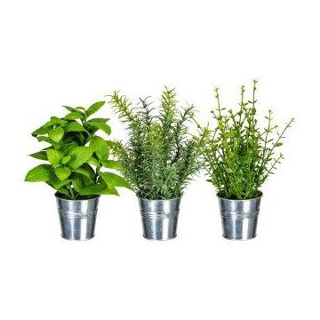Mix di erbe aromatiche artificiali DRILHO, basilico, rosmarino, timo, 3 pezzi, vaso in zinco, verde, 23-26 cm