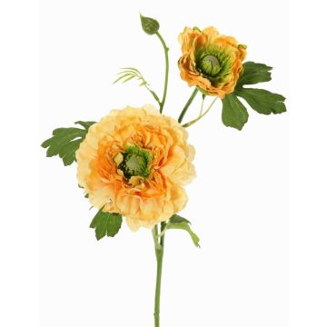 Ramo artificiale Ranuncolo SAGARA, albicocca-verde, 45cm, Ø5-9cm Ramo artificiale Ranuncolo SAGARA, albicocca-verde, 45cm, Ø5-9cm