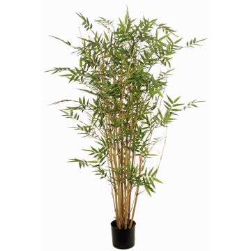 Pianta artificiale bambù KEAO, canne di bambù vere, 120cm Pianta artificiale bambù KEAO, canne di bambù vere, 120cm