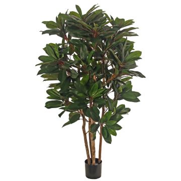 Pianta artificiale Schefflera ZULEIKA, tronchi veri, verde, 120 cm