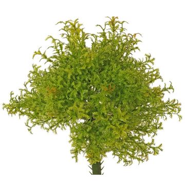 Felce muschio artificiale PADMA su bastone, verde-marrone, 23 cm, Ø 20 cm