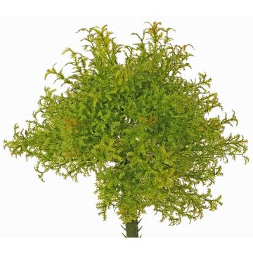 Felce muschio artificiale PADMA su bastone, verde-marrone, 23cm, Ø20cm