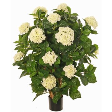 Ortensia artificiale PINDO, crema, 95cm Ortensia artificiale PINDO, crema, 95cm