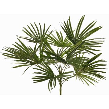 Palma artificiale Washingtonia SAIMA su bastoncino, crossdoor, 50cm Palma artificiale Washingtonia SAIMA su bastoncino, crossdoor, 50cm