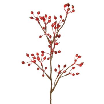 Ramo decorativo rosa selvatica HIKERNO con bacche di rosa canina, rosso, 60 cm Ramo decorativo rosa selvatica HIKERNO con bacche di rosa canina, rosso, 60 cm