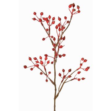Ramo decorativo rosa selvatica HIKERNO con bacche di rosa canina, rosso, 60cm