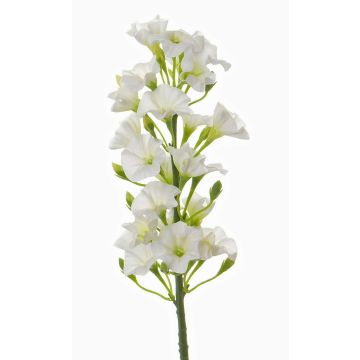 Phlox finto ALSA, bianco, 35cm, Ø6cm