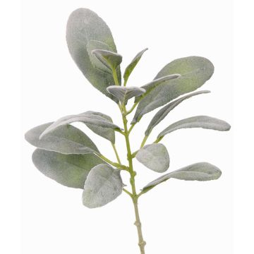 Ramo di stachys finto FERRIS, grigio-verde, 40cm Ramo di stachys finto FERRIS, grigio-verde, 40cm