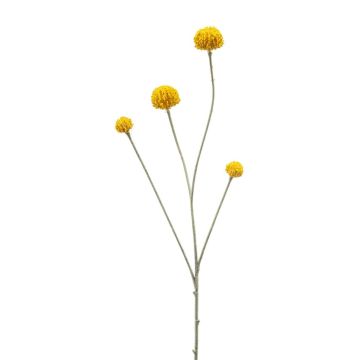 Ramoscello artificiale a forma di bacchetta da tamburo RILADA, giallo, 70 cm