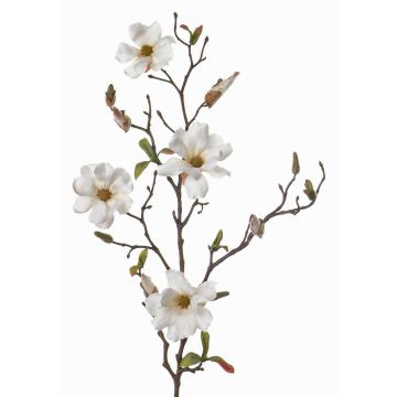 Ramo di magnolia artificiale MARGA, bianco, 80cm, Ø6-8cm Ramo di magnolia artificiale MARGA, bianco, 80cm, Ø6-8cm