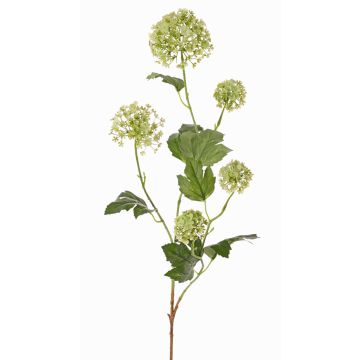 Ramo di viburno artificiale TENSHI, verde, 90cm, Ø5-10cm Ramo di viburno artificiale TENSHI, verde, 90cm, Ø5-10cm