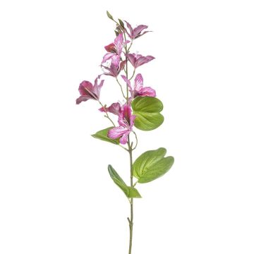 Ramo decorativo di Bauhinia DOWLER, rosa, 85 cm