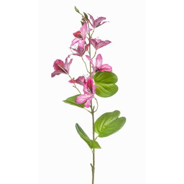Ramo decorativo di Bauhinia DOWLER, rosa, 85 cm