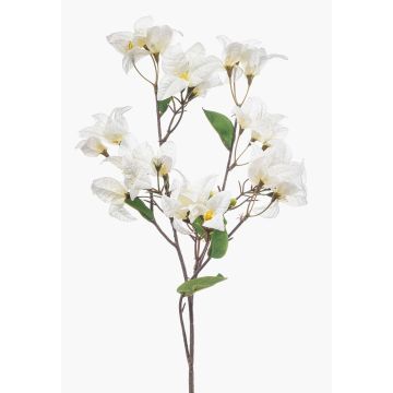 Ramo decorativo di bouganville MOWLER con fiori, crema, 70 cm Ramo decorativo di bouganville MOWLER con fiori, crema, 70 cm