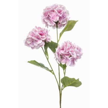 Ramo artificiale di ortensia GRACELYN, rosa, 75 cm Ramo artificiale di ortensia GRACELYN, rosa, 75 cm