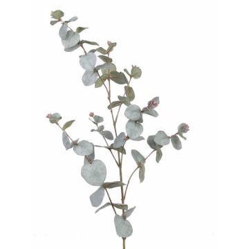 Ramo di eucalipto artificiale ILMO , grigio-verde, 85cm