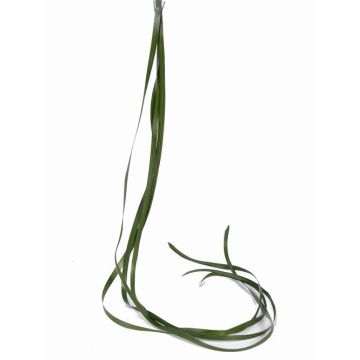 Erba carice sintetica JURO, verde, 120cm, Ø1cm Erba carice sintetica JURO, verde, 120cm, Ø1cm