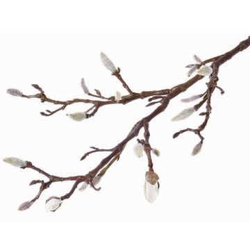 Ramo di magnolia artificiale ASANI, bianco, 70cm, Ø1-2cm Ramo di magnolia artificiale ASANI, bianco, 70cm, Ø1-2cm