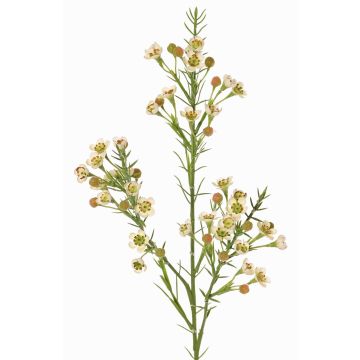 Ramo decorativo FRINDALS, crema, 65cm, Ø1,5-2cm Ramo decorativo FRINDALS, crema, 65cm, Ø1,5-2cm