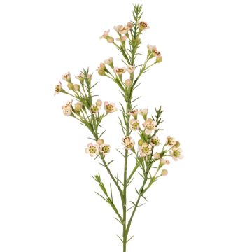 Ramo decorativo con fiori di cera FRINDALS, rosa chiaro-bianco, 65 cm