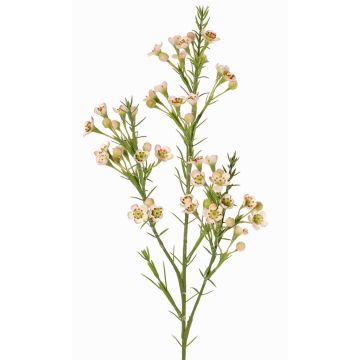 Ramo decorativo con fiori di cera FRINDALS, rosa chiaro-bianco, 65cm, Ø1,5-2cm Ramo decorativo con fiori di cera FRINDALS, rosa chiaro-bianco, 65cm, Ø1,5-2cm