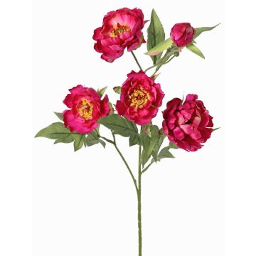 Ramo artificiale peonia LARDUAN, Eco Collection, fucsia, 60cm, Ø7cm Ramo artificiale peonia LARDUAN, Eco Collection, fucsia, 60cm, Ø7cm