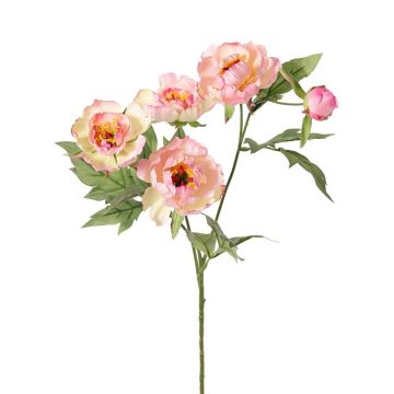 Ramo artificiale peonia LARDUAN, Eco Collection, rosa-bianco, 60 cm, Ø 7 cm