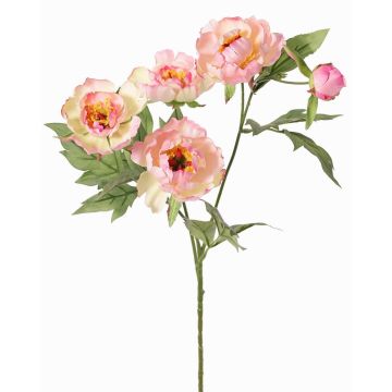 Ramo artificiale peonia LARDUAN, Eco Collection, rosa-bianco, 60cm, Ø7cm Ramo artificiale peonia LARDUAN, Eco Collection, rosa-bianco, 60cm, Ø7cm