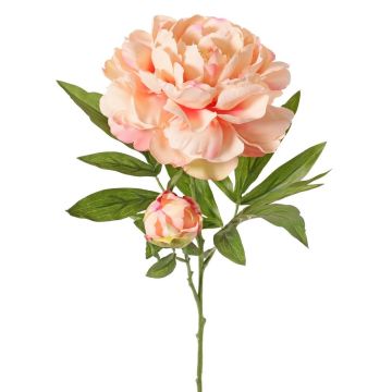 Peonia artificiale WARDUAN, Eco Collection, salmone, 65 cm, Ø 15 cm