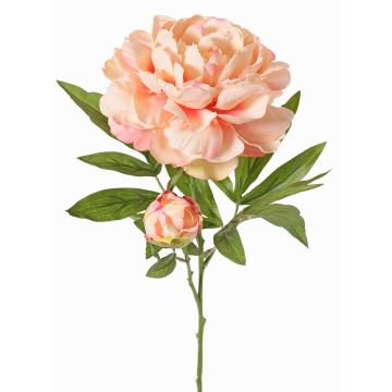 Peonia artificiale WARDUAN, Eco Collection, salmone, 65cm, Ø15cm Peonia artificiale WARDUAN, Eco Collection, salmone, 65cm, Ø15cm