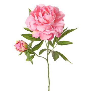 Peonia artificiale WARDUAN, Eco Collection, rosa, 65 cm, Ø 15 cm Peonia artificiale WARDUAN, Eco Collection, rosa, 65 cm, Ø 15 cm