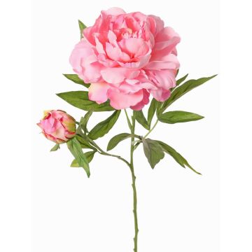 Peonia artificiale WARDUAN, Eco Collection, rosa, 65cm, Ø15cm Peonia artificiale WARDUAN, Eco Collection, rosa, 65cm, Ø15cm