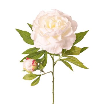 Peonia artificiale WARDUAN, Eco Collection, bianca, 65 cm, Ø 15 cm