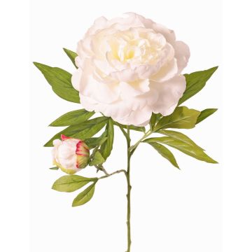 Peonia artificiale WARDUAN, Eco Collection, bianca, 65cm, Ø15cm Peonia artificiale WARDUAN, Eco Collection, bianca, 65cm, Ø15cm