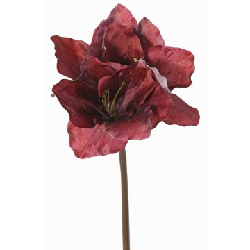 Amaryllis artificiale SARDUAN, rosso bordeaux, 65cm, Ø10cm Amaryllis artificiale SARDUAN, rosso bordeaux, 65cm, Ø10cm