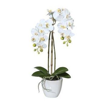 Orchidea artificiale Phalaenopsis LARKEN in vaso di ceramica, radici, bianca, 45 cm