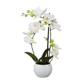 Orchidea Phalaenopsis in tessuto INAKES, vaso in ceramica, radici, bianco, 40 cm