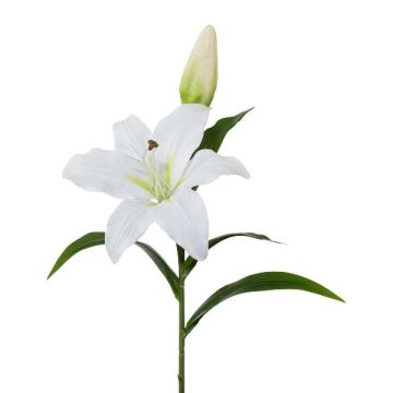 Fiore decorativo giglio XERNA, bianco, 50 cm Fiore decorativo giglio XERNA, bianco, 50 cm