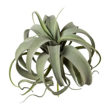 Pianta succulenta artificiale Tillandsia xerographica TRUMSY, bastoncino, verde, 28 cm, Ø 25 cm