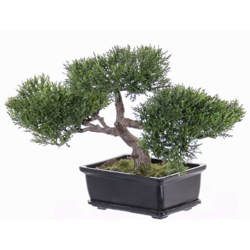 Cedro bonsai sintetico ALESSA, con radici, in ciotola, verde, 23cm Cedro bonsai sintetico ALESSA, con radici, in ciotola, verde, 23cm