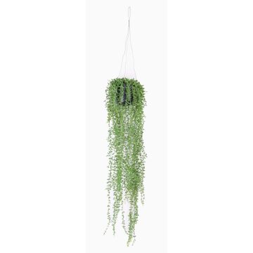 Senecio pensile finto COSIMA, in vaso decorativo, verde, 70cm