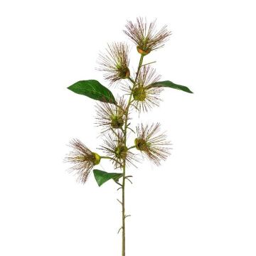 Ramo artificiale con fiori GLIHON, marrone, 100 cm